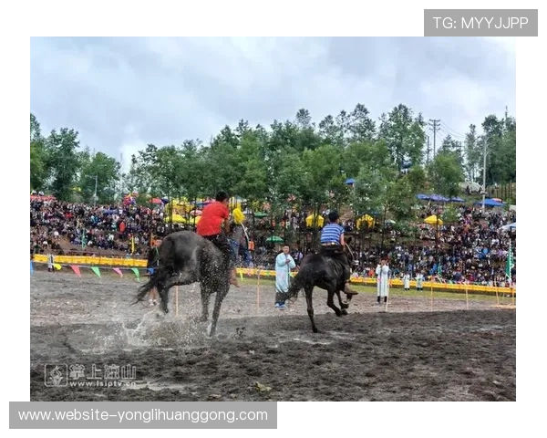 2024年澳门赛马比赛时间安排全攻略，掌握赛程安排提升投注胜率