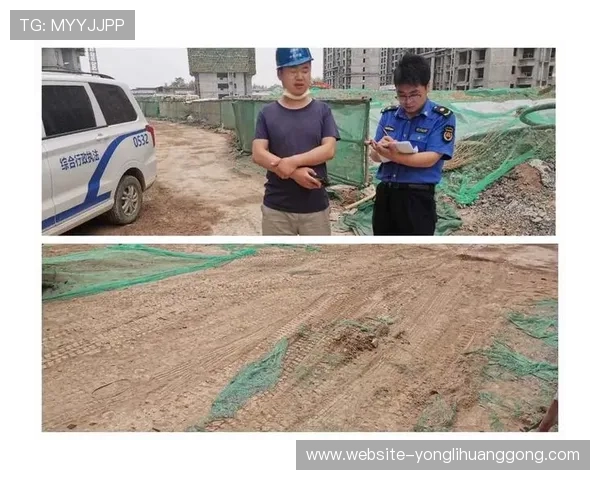 永乐高官方入口常见问题及解决方案全面解析