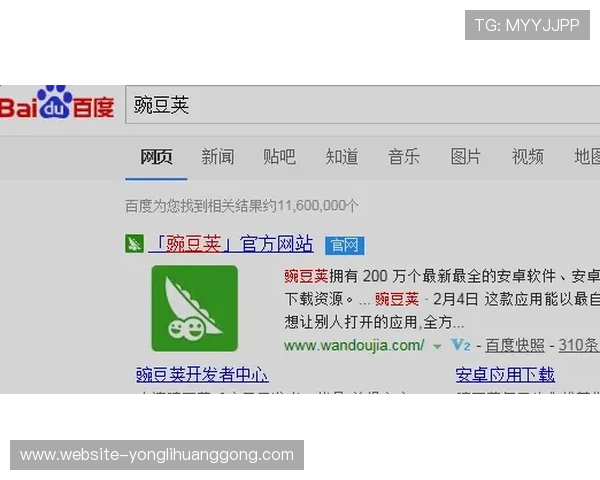永利备用网址安全可靠，保障您的账号资金安全与游戏体验全面升级