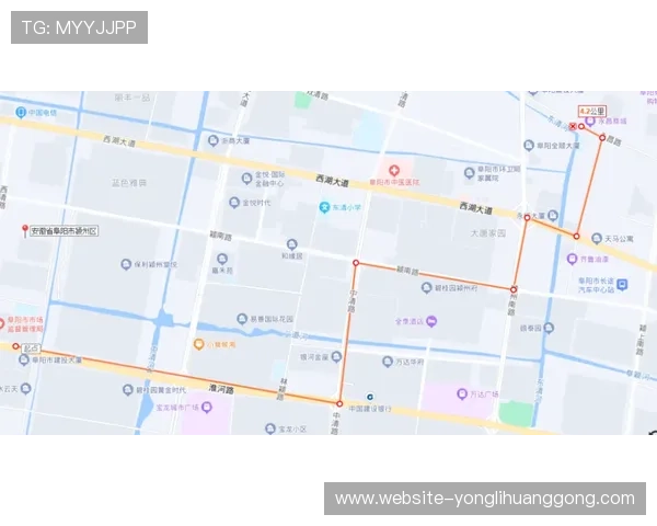 永利总站检测路线详解帮助玩家快速找到最佳检测路径提升游戏体验