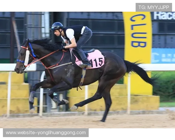 深入了解澳门赛马会赛事资讯，掌握赛事安排、参赛队伍及精彩回放内容