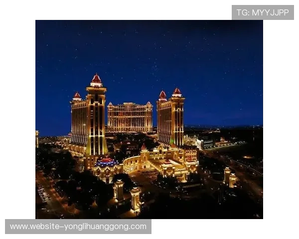 澳门永利娱乐官网安全保障措施详解保障玩家资金与信息安全