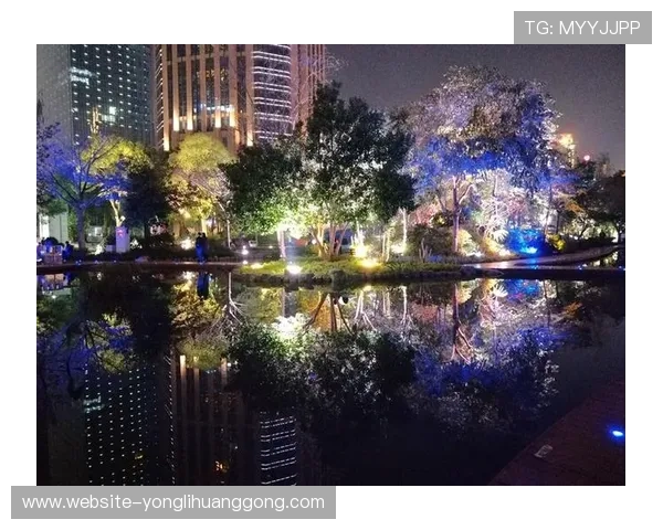 澳门渔人码头夜晚灯光秀，感受海港夜色中的梦幻与浪漫氛围