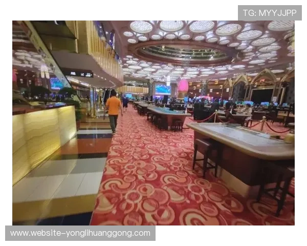 澳门的赌场还有什么丰富的娱乐项目和特色体验值得探索