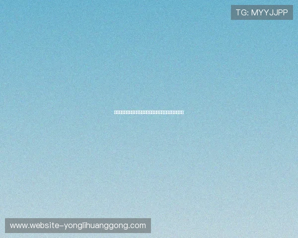 澳门贵宾厅线路检测全面指南帮助玩家确保游戏体验顺畅与安全