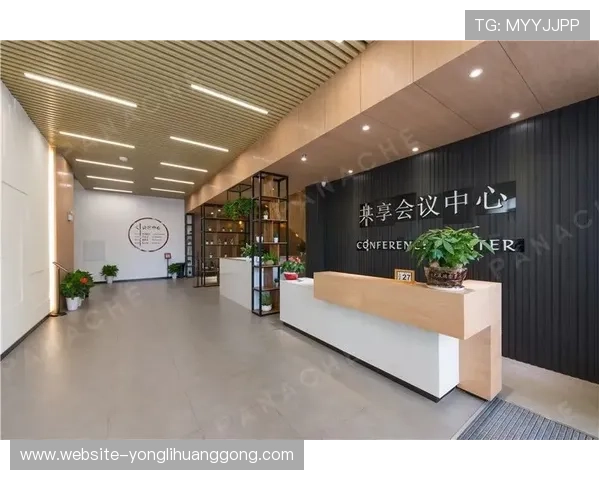 澳门贵宾厅与大厅的主要差异分析，帮助您选择最合适的休闲空间