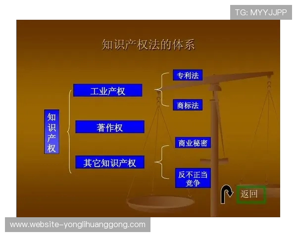 新豪官网售后服务与客户支持体系全面覆盖保障用户购物无忧