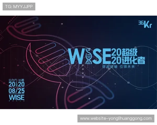 梅高美娱乐公司网站优化策略与用户体验提升方案全面分析
